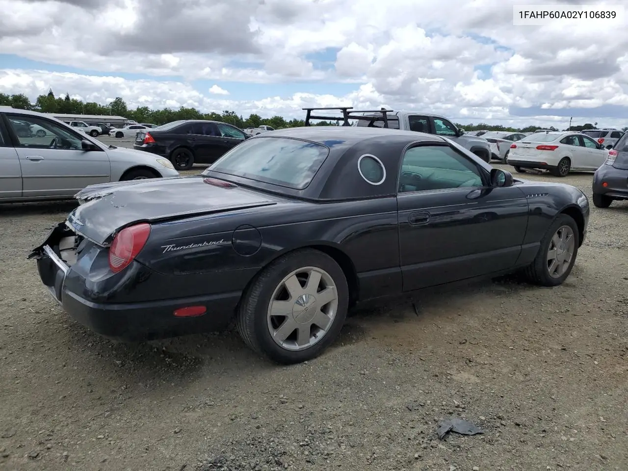 2002 Ford Thunderbird VIN: 1FAHP60A02Y106839 Lot: 56254595