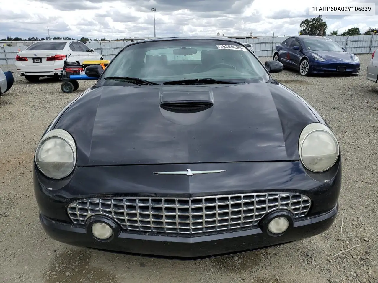 2002 Ford Thunderbird VIN: 1FAHP60A02Y106839 Lot: 56254595