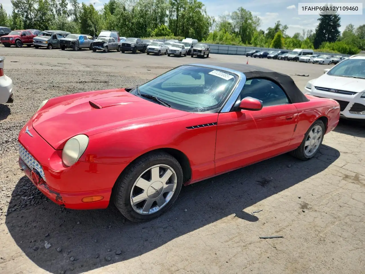 2002 Ford Thunderbird VIN: 1FAHP60A12Y109460 Lot: 61205885