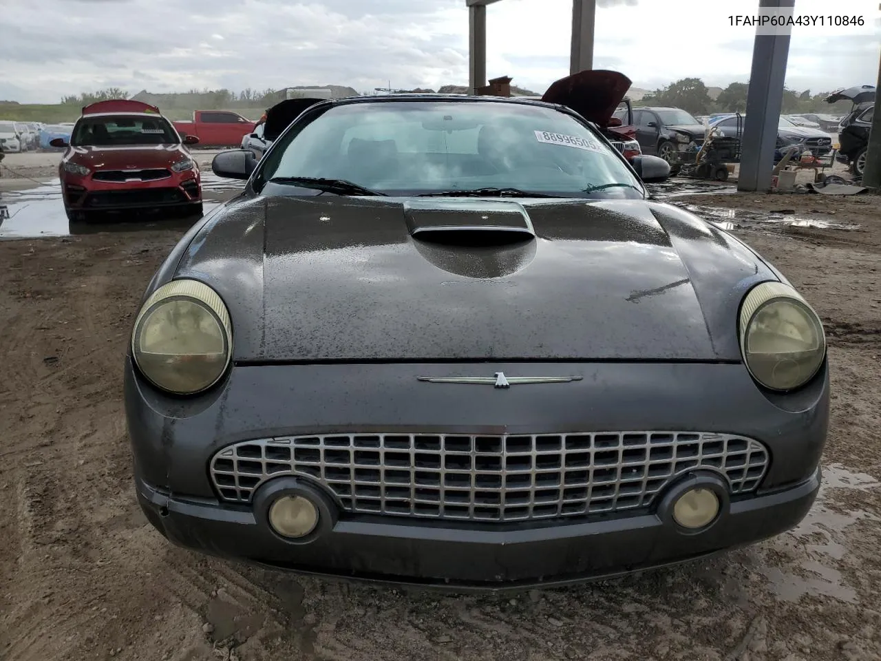 2003 Ford Thunderbird VIN: 1FAHP60A43Y110846 Lot: 88996505