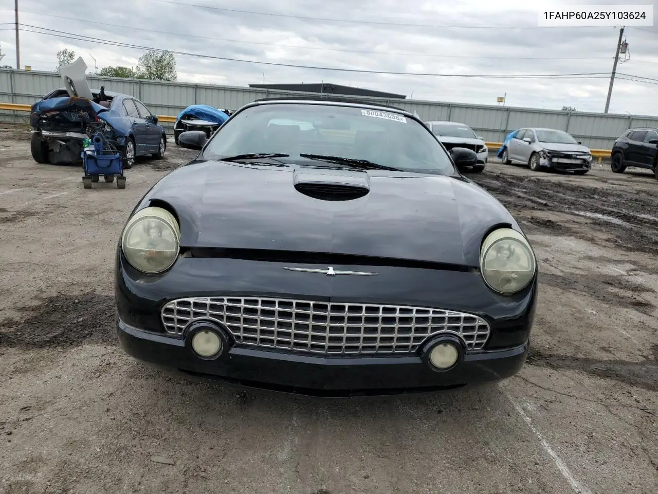 2005 Ford Thunderbird VIN: 1FAHP60A25Y103624 Lot: 58043635