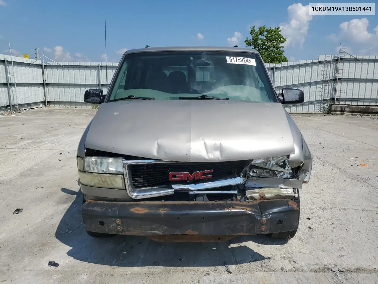 2003 GMC Safari Xt VIN: 1GKDM19X13B501441 Lot: 61759245