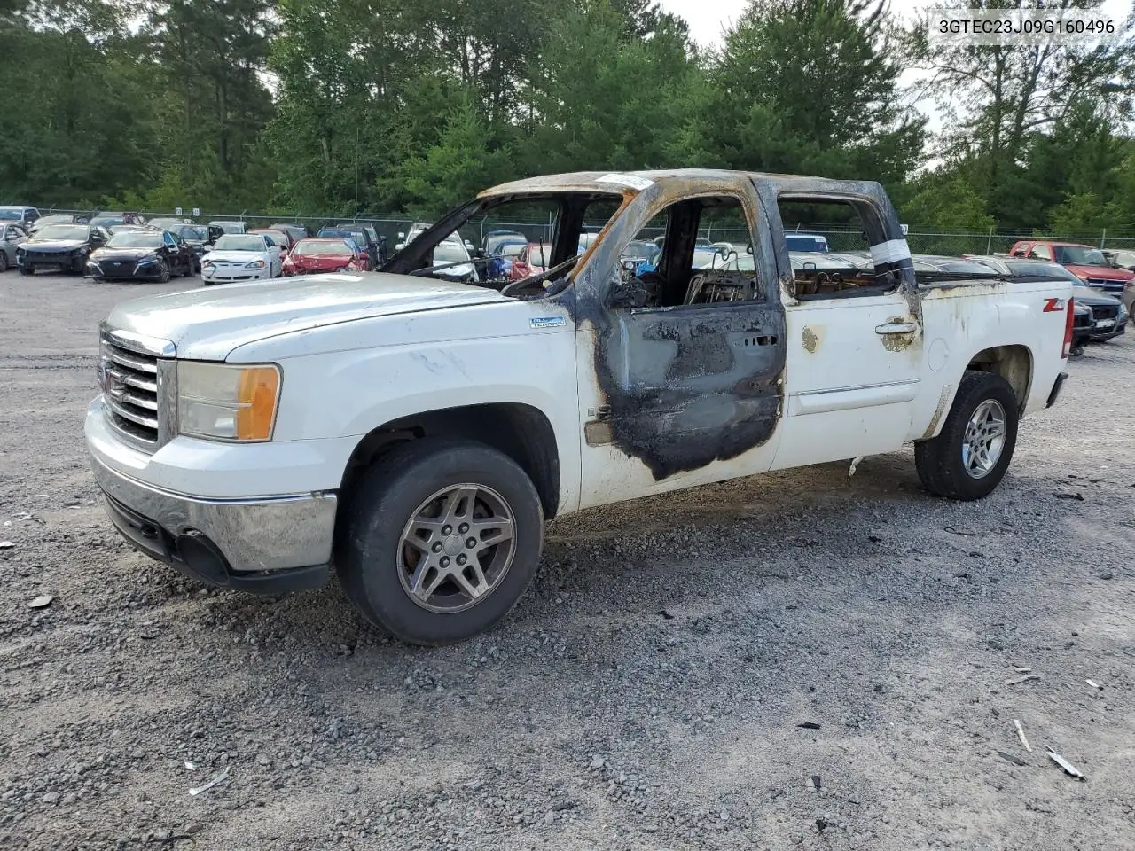 2009 GMC Sierra C1500 Sle VIN: 3GTEC23J09G160496 Lot: 61166475
