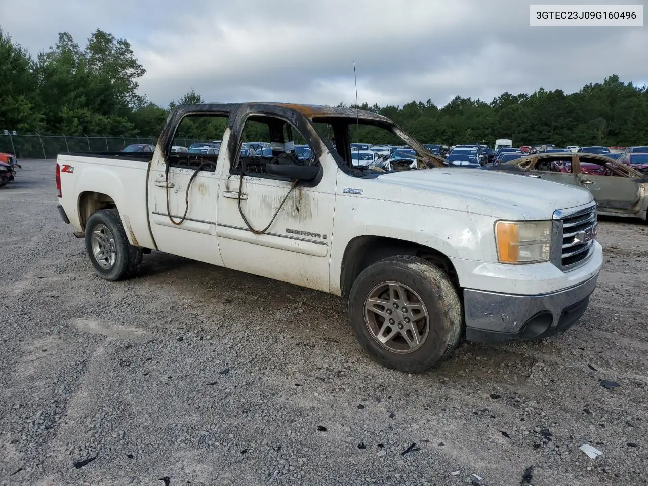 2009 GMC Sierra C1500 Sle VIN: 3GTEC23J09G160496 Lot: 61166475