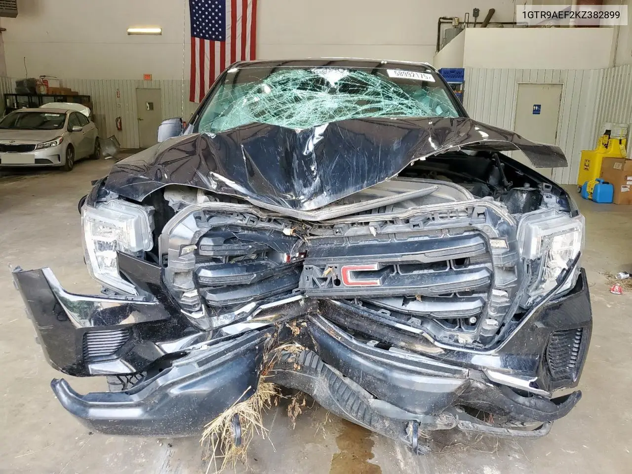 2019 GMC Sierra K1500 VIN: 1GTR9AEF2KZ382899 Lot: 58992175