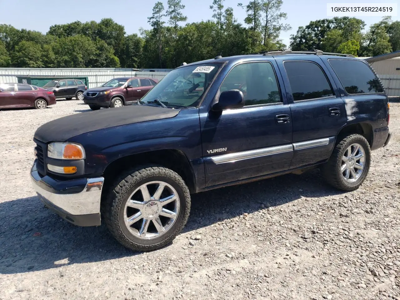 2005 GMC Yukon VIN: 1GKEK13T45R224519 Lot: 62450485
