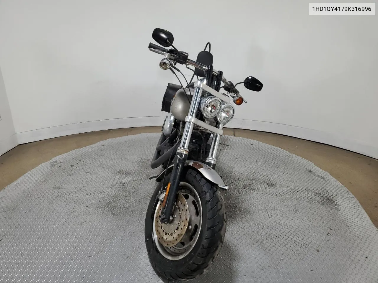 2009 Harley-Davidson Fxdf VIN: 1HD1GY4179K316996 Lot: 78049224