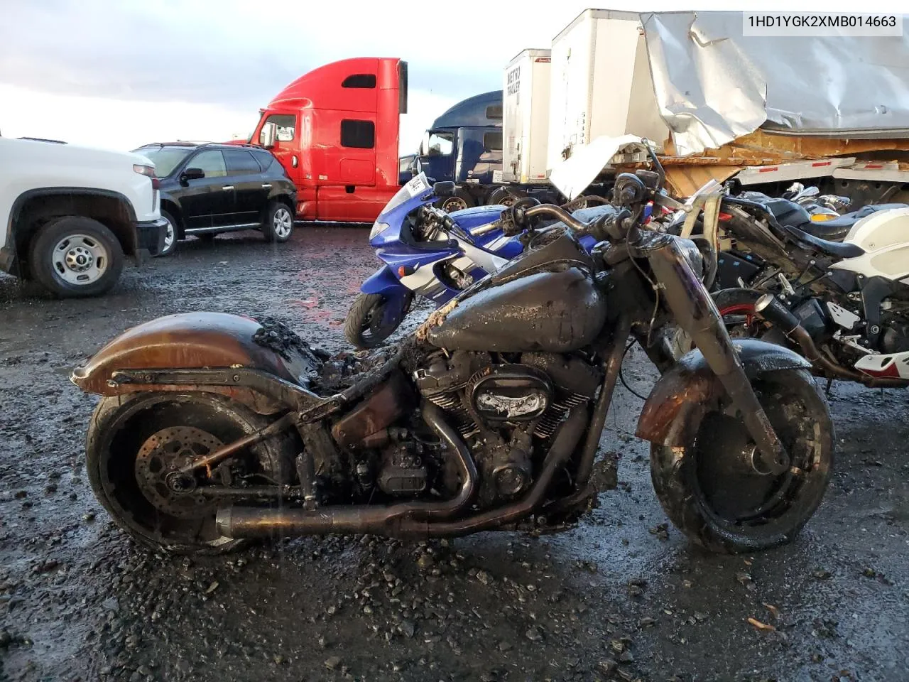 2021 Harley-Davidson Flfbs VIN: 1HD1YGK2XMB014663 Lot: 79308244