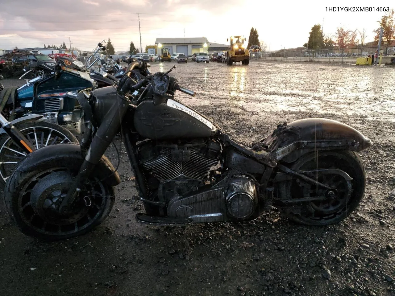 2021 Harley-Davidson Flfbs VIN: 1HD1YGK2XMB014663 Lot: 79308244