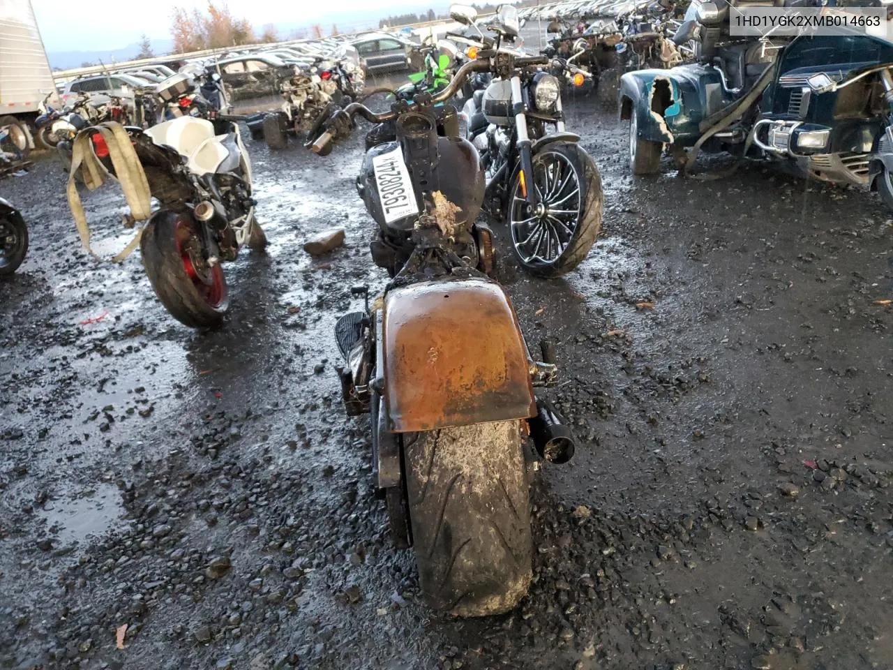 2021 Harley-Davidson Flfbs VIN: 1HD1YGK2XMB014663 Lot: 79308244