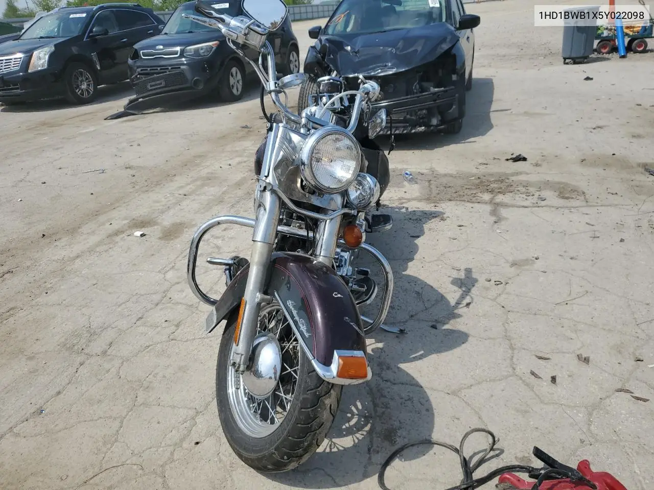 2005 Harley-Davidson Flstci VIN: 1HD1BWB1X5Y022098 Lot: 54245465