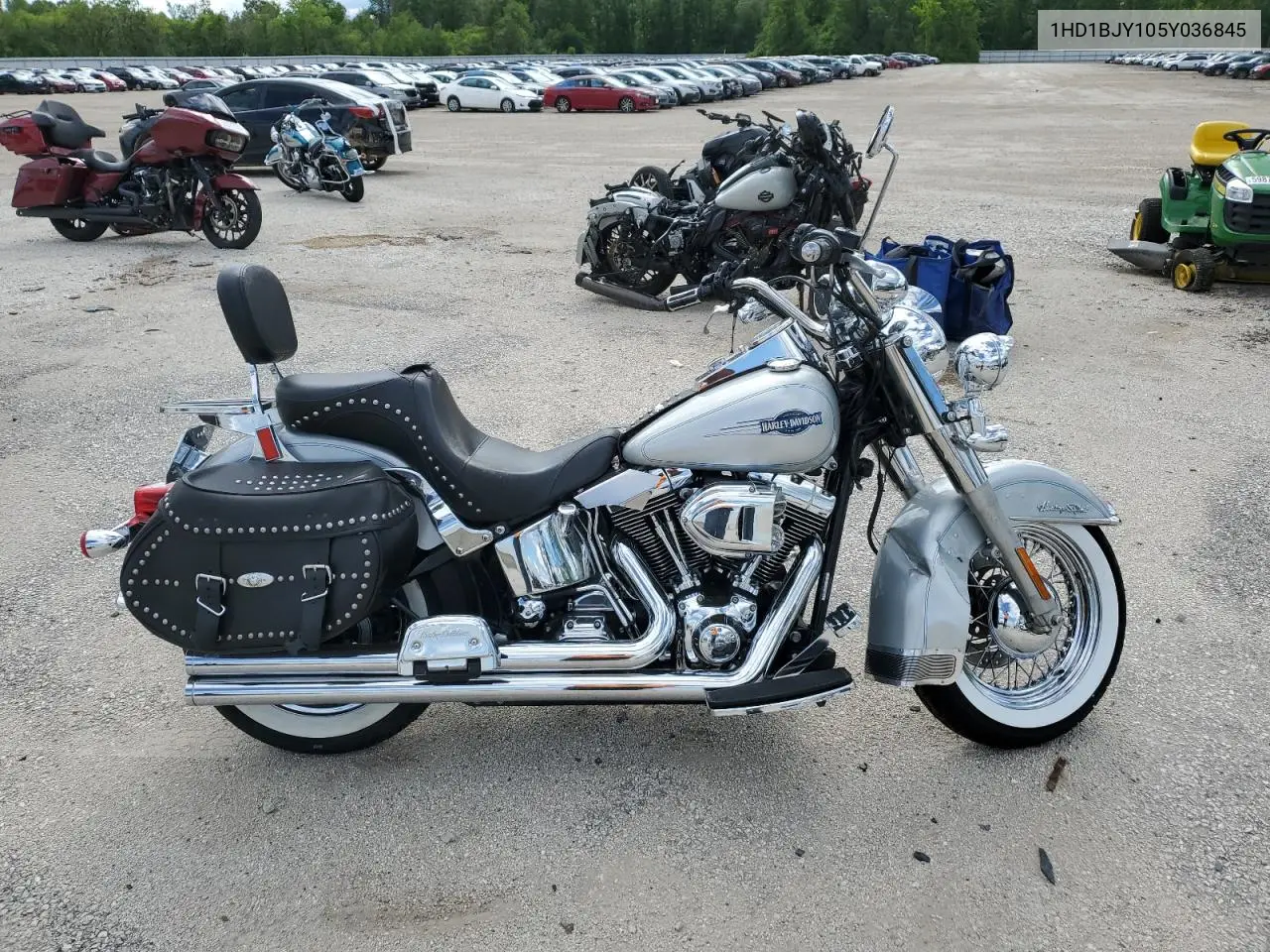 2005 Harley-Davidson Flstc VIN: 1HD1BJY105Y036845 Lot: 62294895
