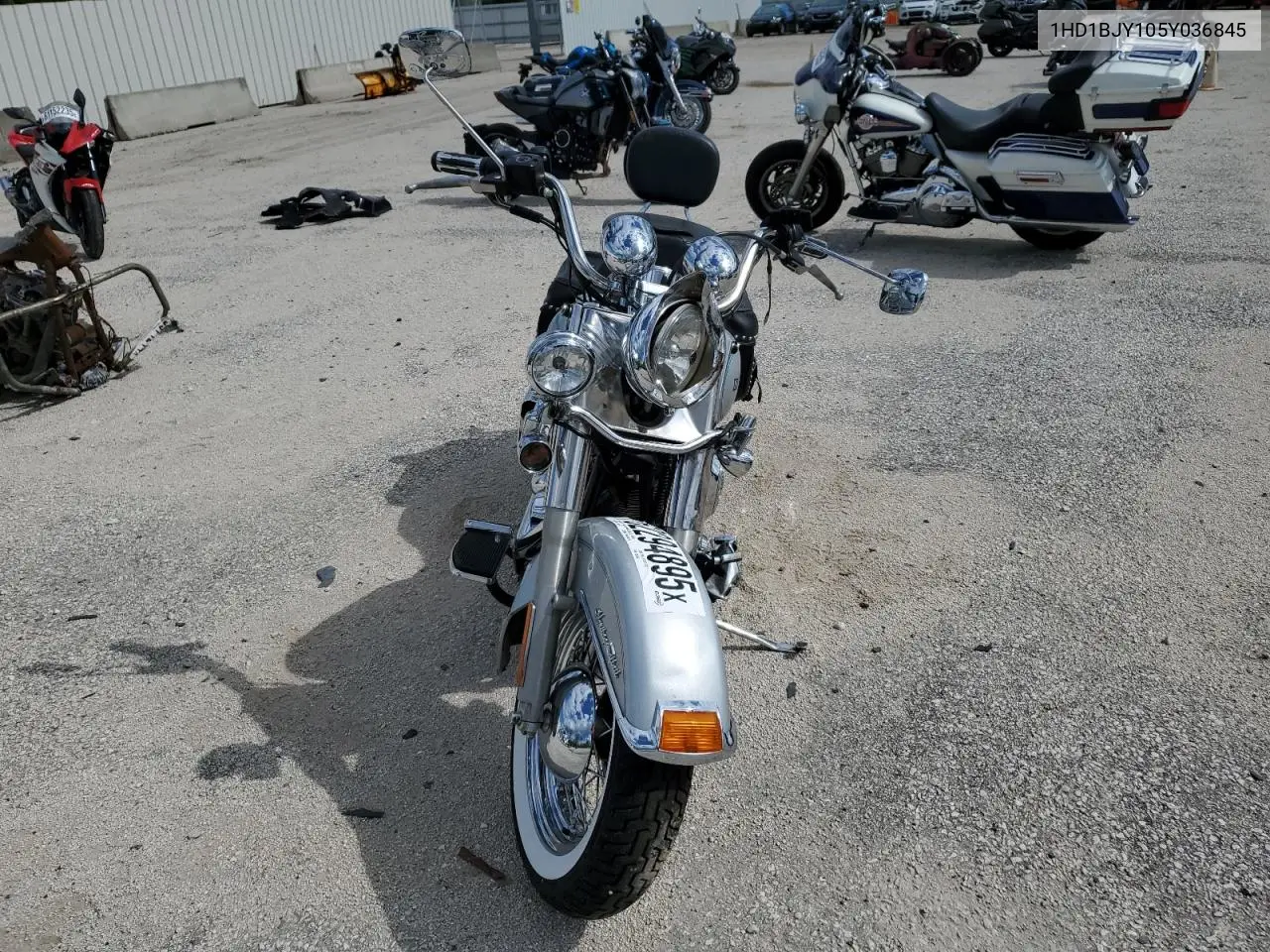 2005 Harley-Davidson Flstc VIN: 1HD1BJY105Y036845 Lot: 62294895