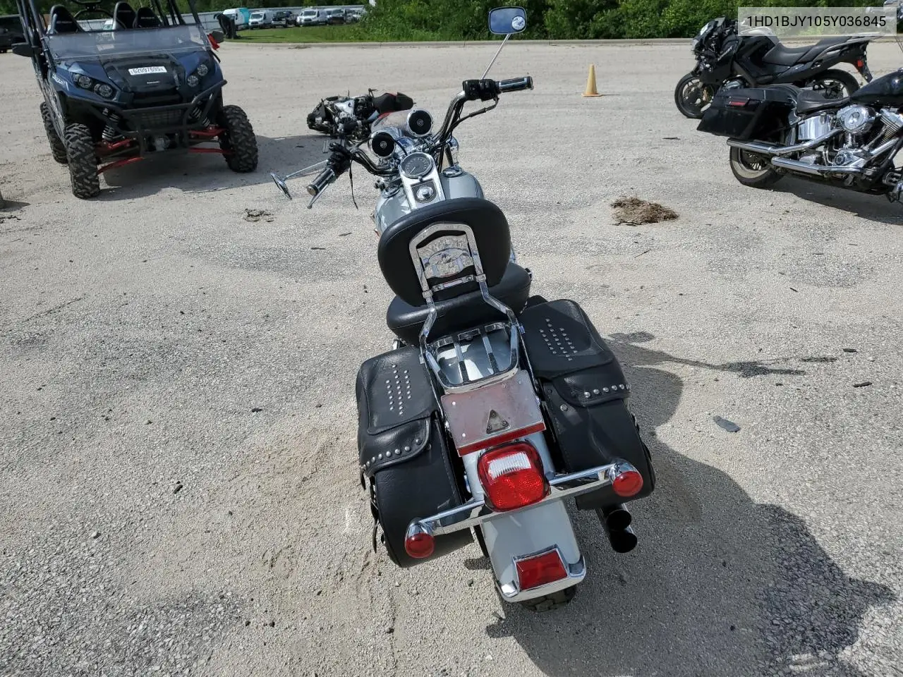 2005 Harley-Davidson Flstc VIN: 1HD1BJY105Y036845 Lot: 62294895