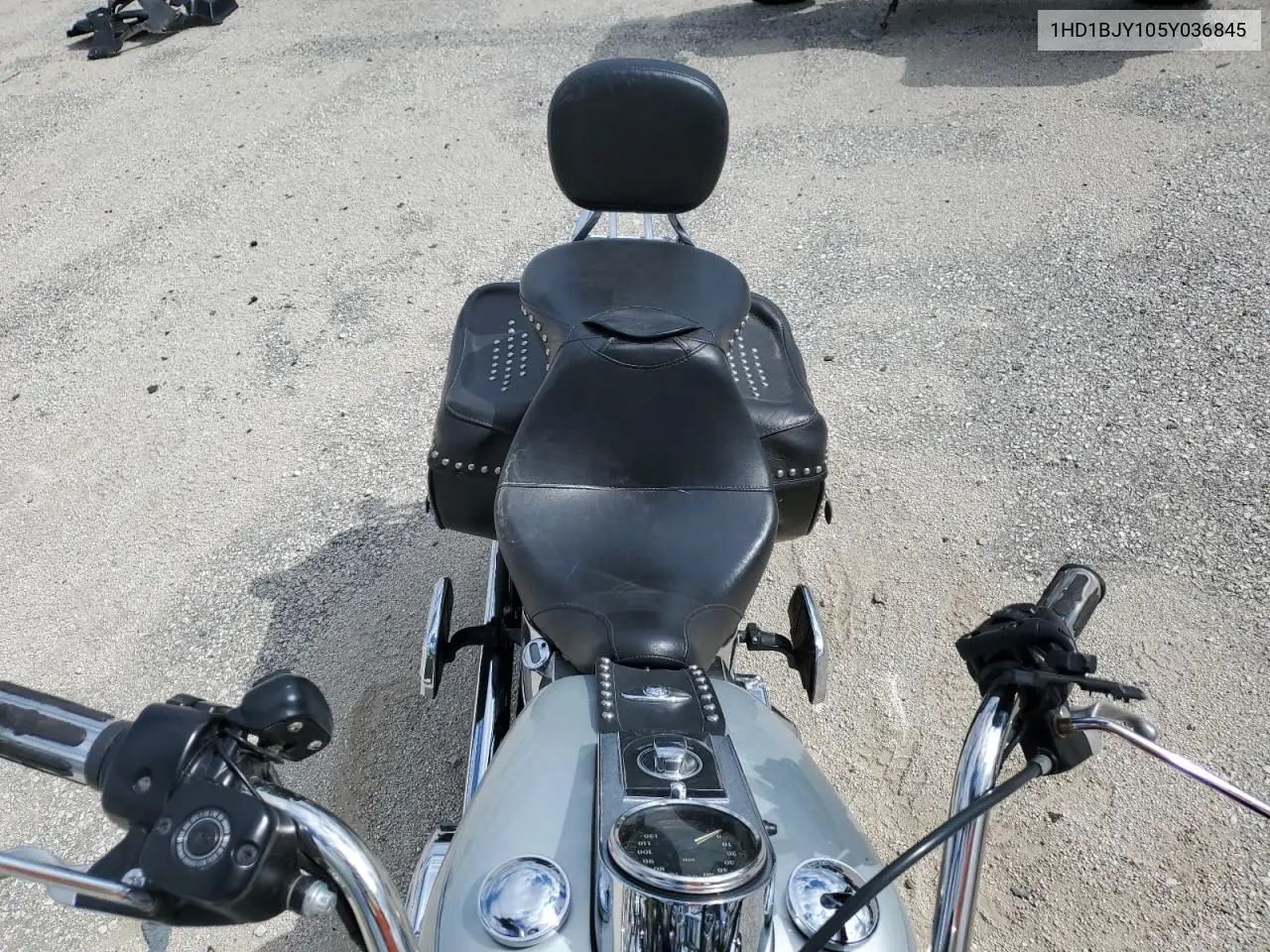 2005 Harley-Davidson Flstc VIN: 1HD1BJY105Y036845 Lot: 62294895