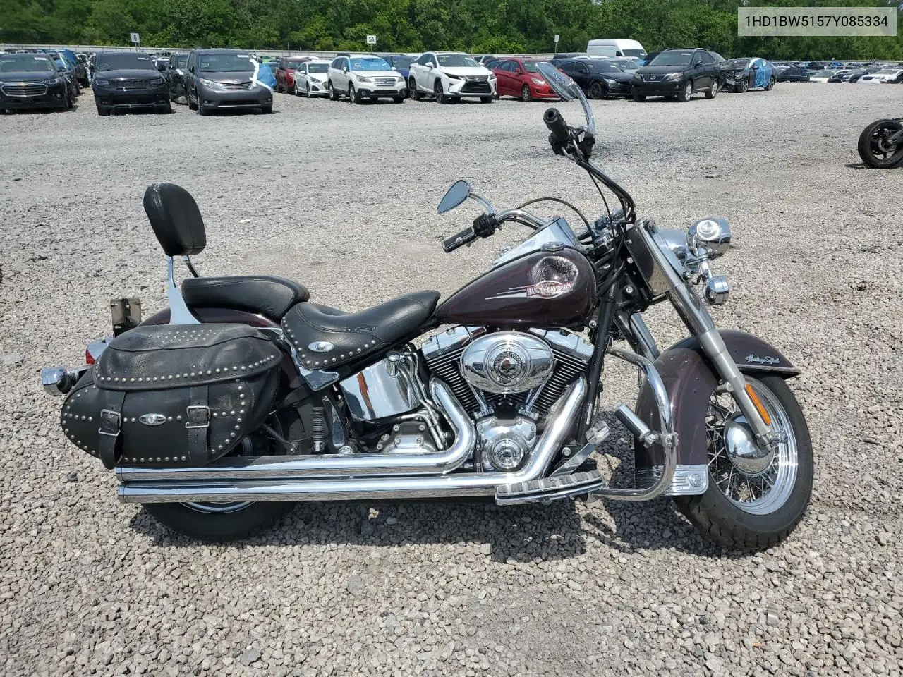 2007 Harley-Davidson Flstc VIN: 1HD1BW5157Y085334 Lot: 53981935