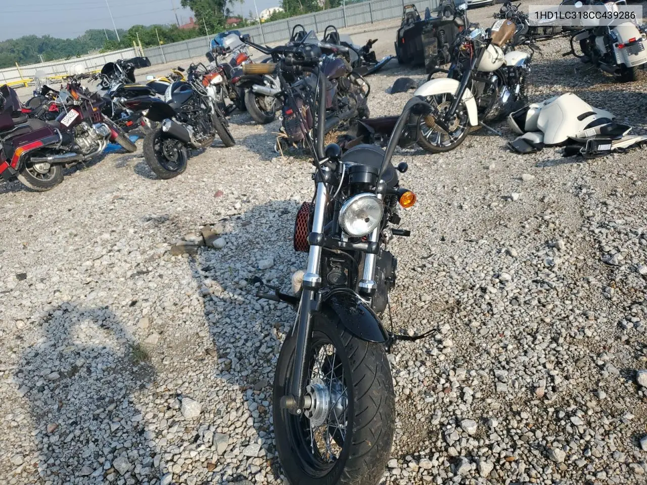2012 Harley-Davidson Xl1200 Forty-Eight VIN: 1HD1LC318CC439286 Lot: 59577775