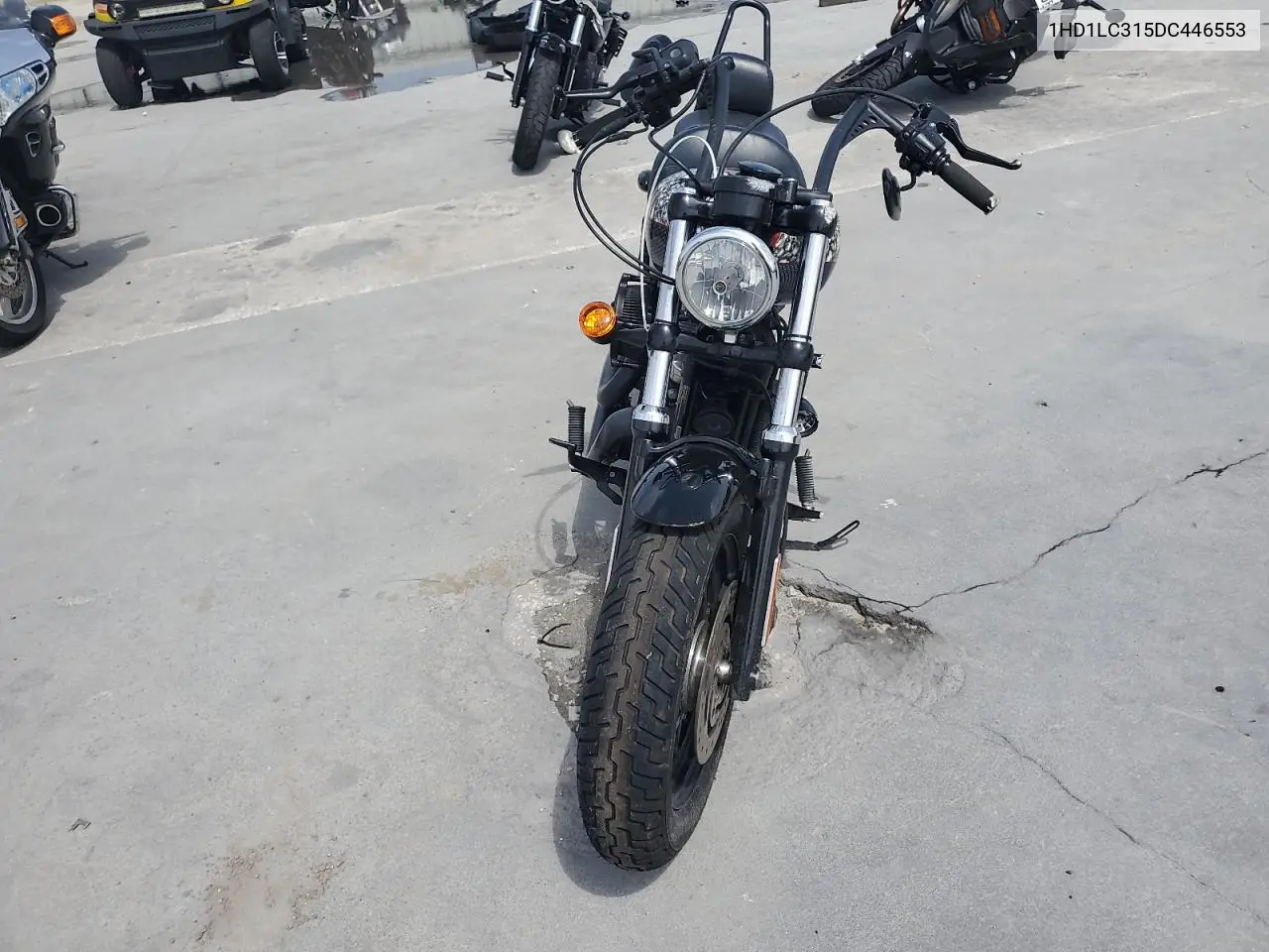 2013 Harley-Davidson Xl1200 Forty-Eight VIN: 1HD1LC315DC446553 Lot: 59887915