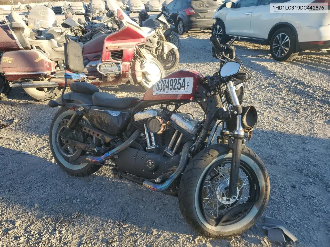 2013 Harley-Davidson Xl1200 Forty-Eight VIN: 1HD1LC319DC442876 Lot: 83849254