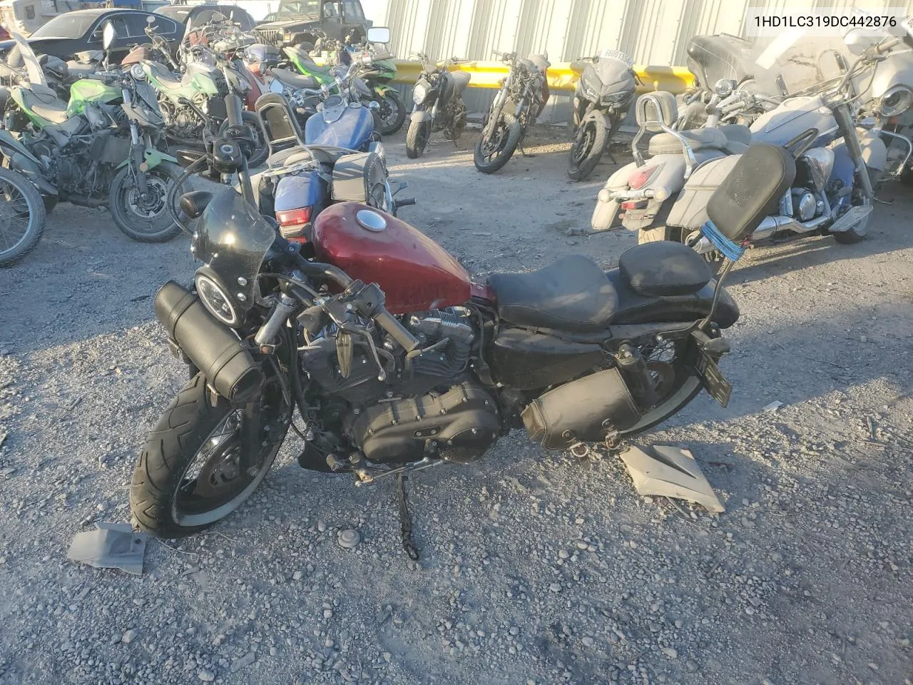 2013 Harley-Davidson Xl1200 Forty-Eight VIN: 1HD1LC319DC442876 Lot: 83849254