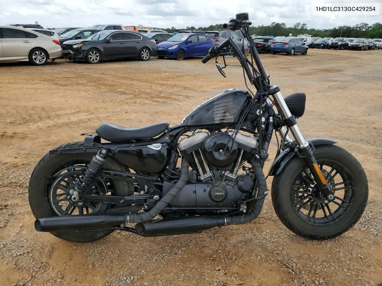 2016 Harley-Davidson Xl1200 Forty-Eight VIN: 1HD1LC313GC429254 Lot: 53607775