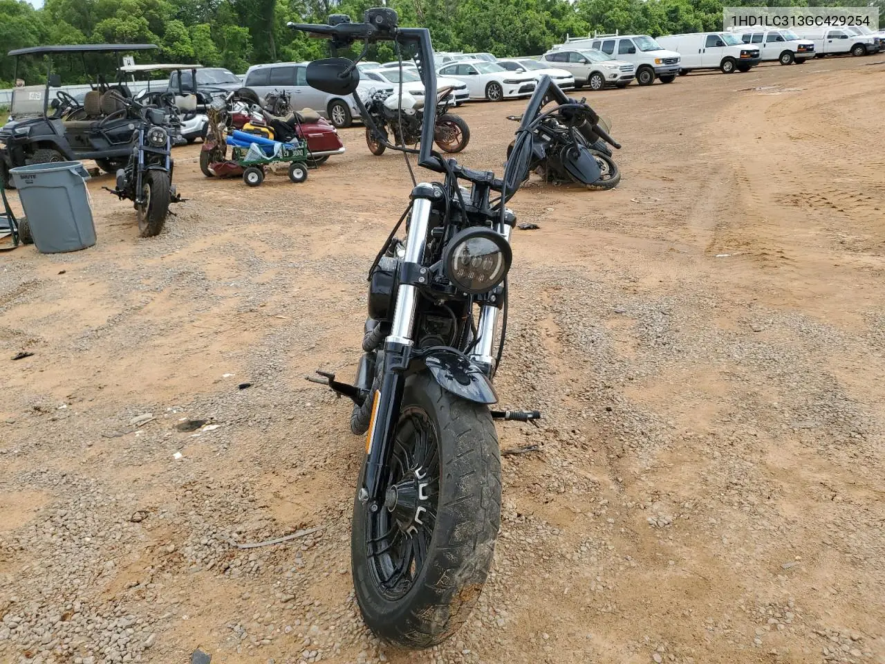 2016 Harley-Davidson Xl1200 Forty-Eight VIN: 1HD1LC313GC429254 Lot: 53607775