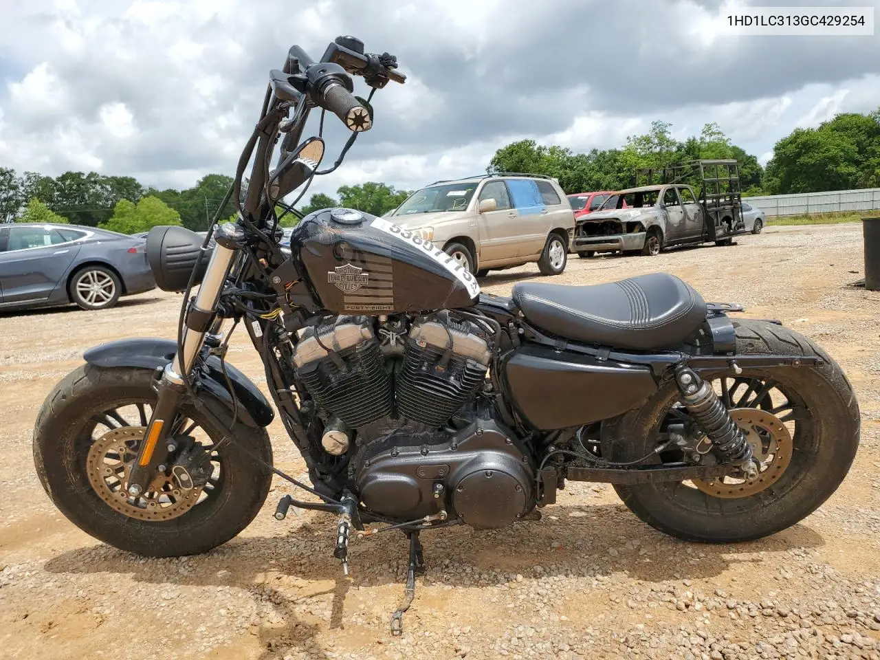 2016 Harley-Davidson Xl1200 Forty-Eight VIN: 1HD1LC313GC429254 Lot: 53607775