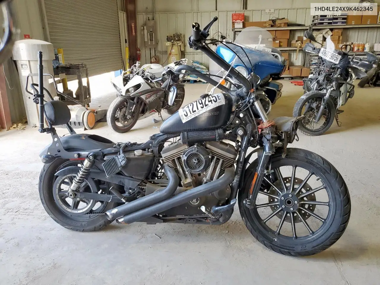 2009 Harley-Davidson Xl883 N VIN: 1HD4LE24X9K462345 Lot: 51279245