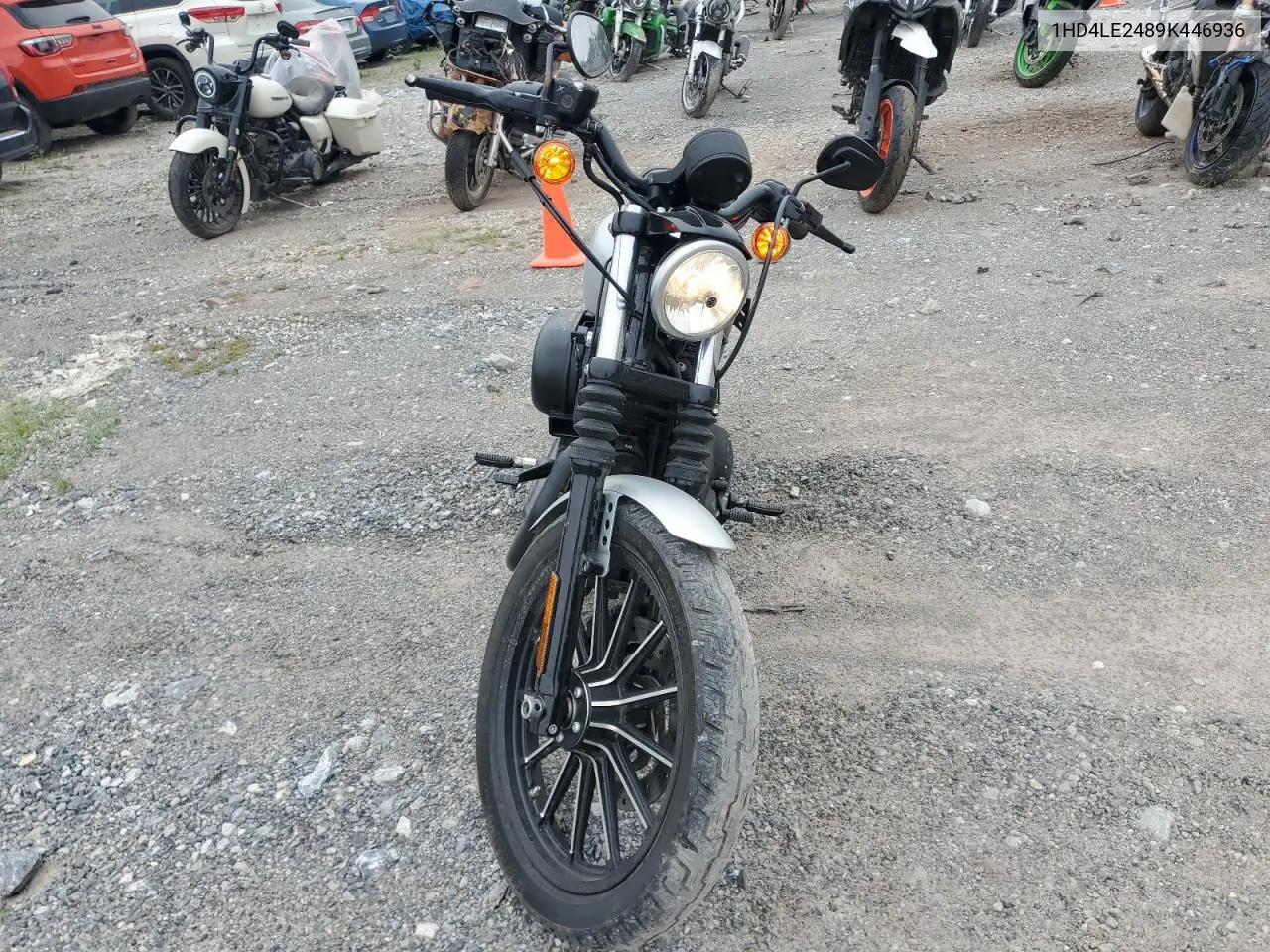 2009 Harley-Davidson Xl883 N VIN: 1HD4LE2489K446936 Lot: 62934155
