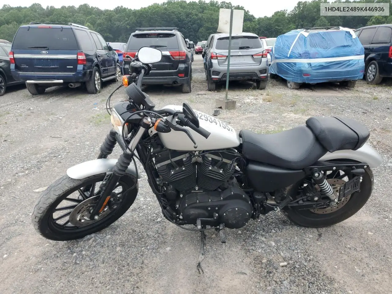 2009 Harley-Davidson Xl883 N VIN: 1HD4LE2489K446936 Lot: 62934155