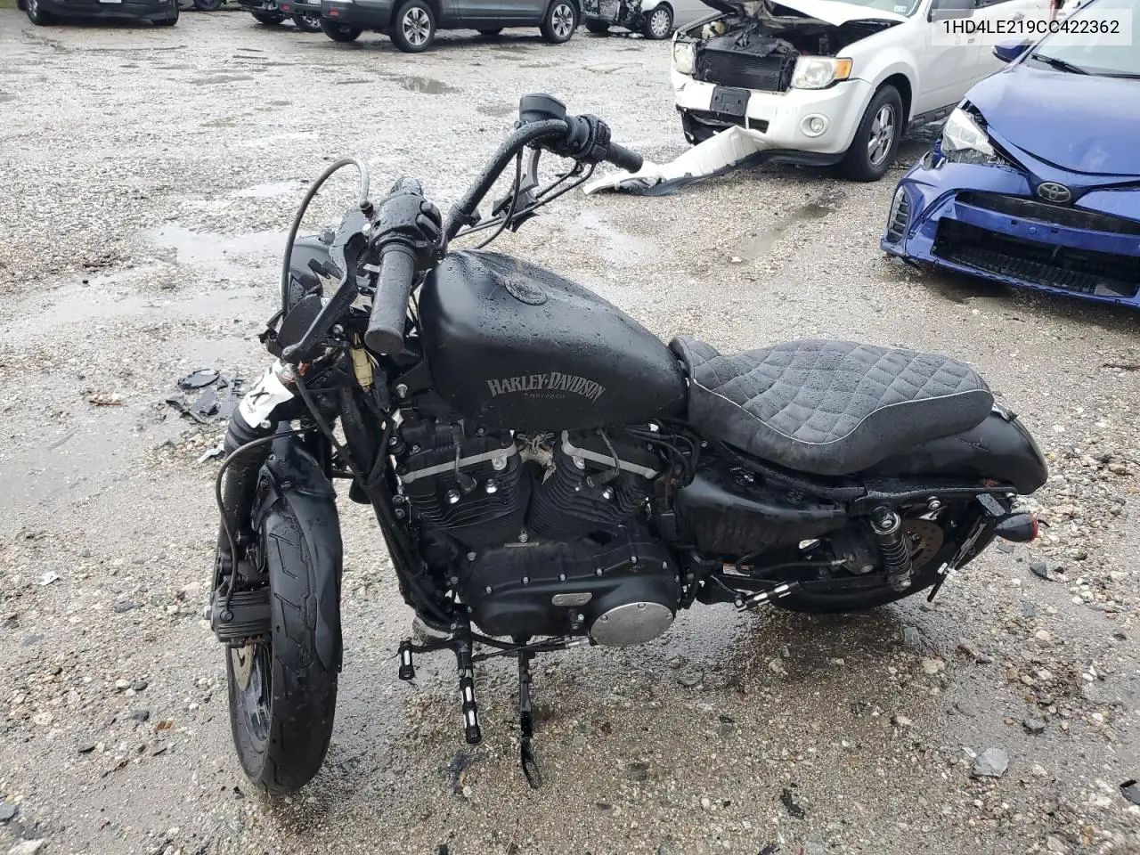 2012 Harley-Davidson Xl883 Iron 883 VIN: 1HD4LE219CC422362 Lot: 52090725