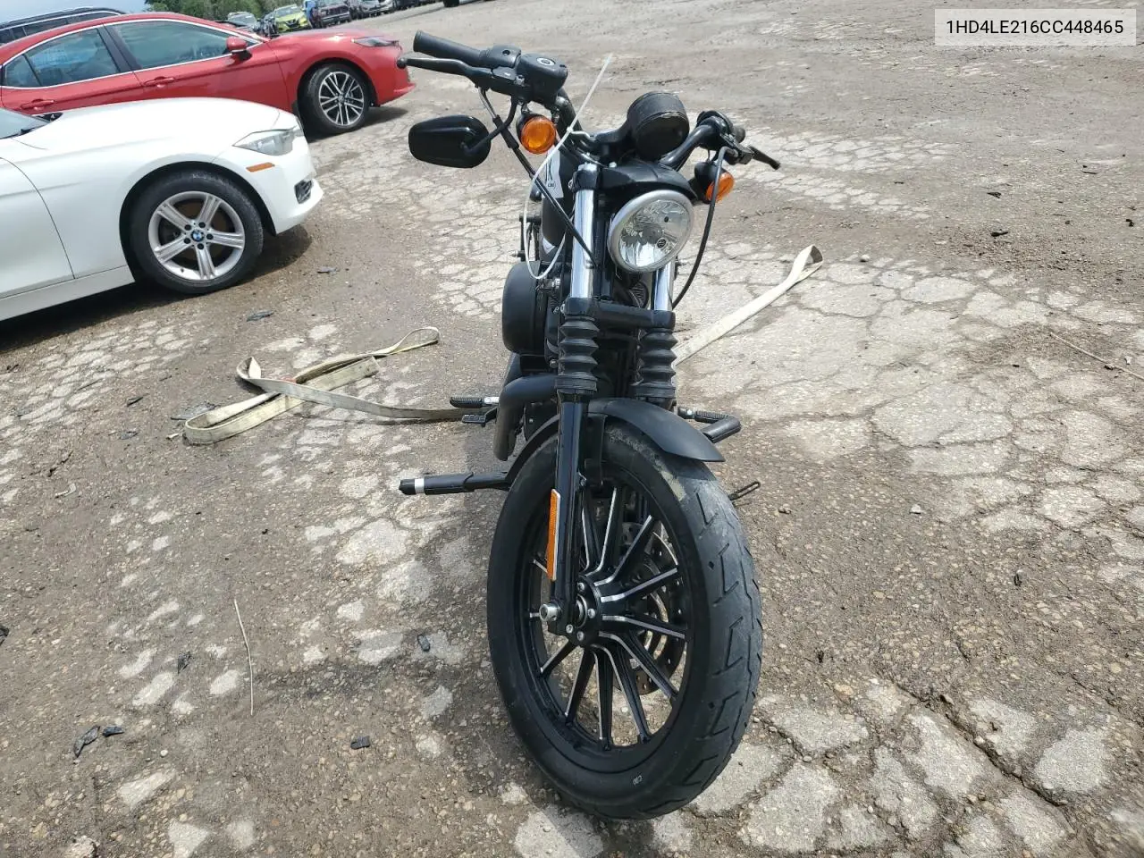 2012 Harley-Davidson Xl883 Iron 883 VIN: 1HD4LE216CC448465 Lot: 61081005