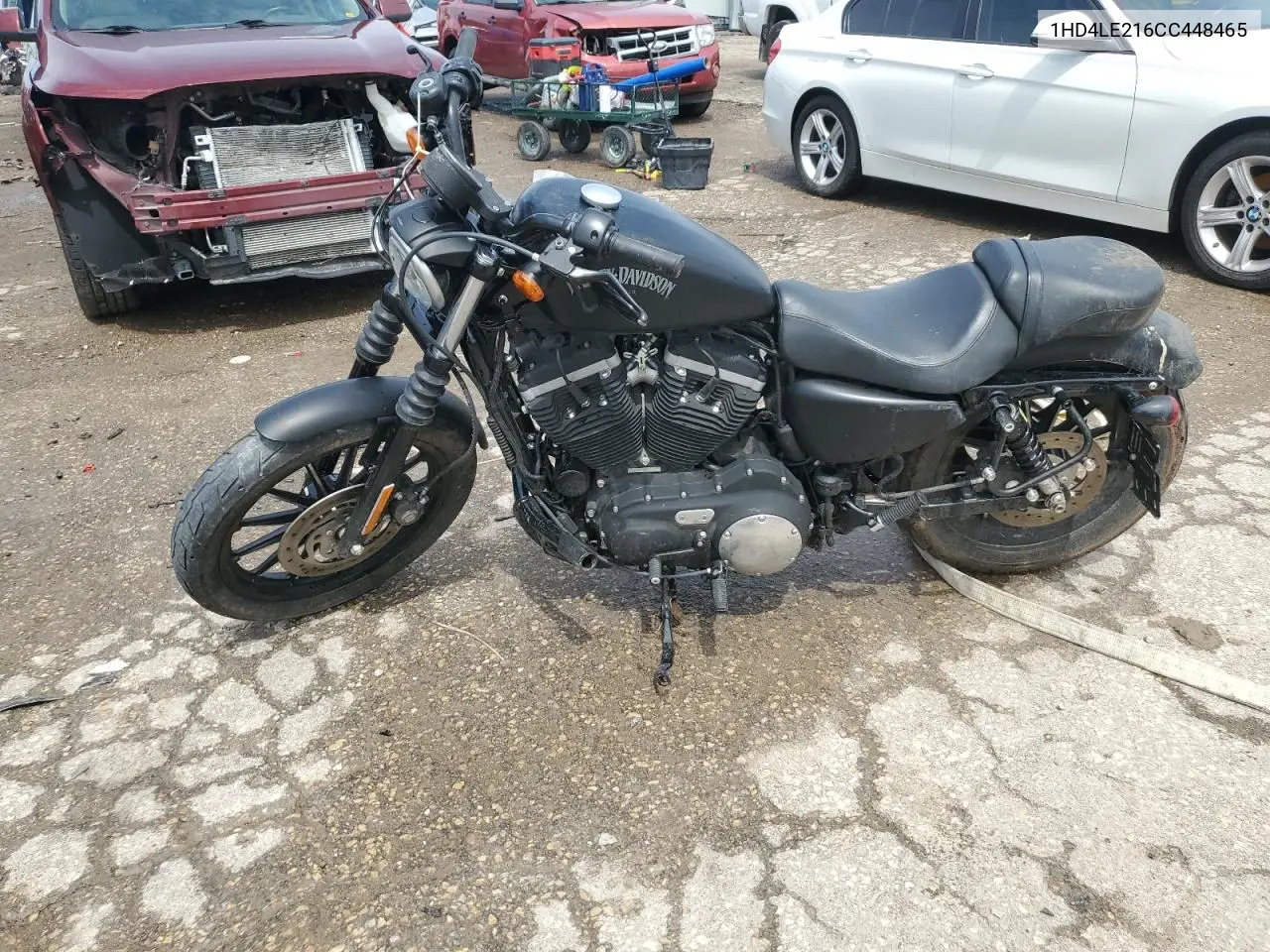 2012 Harley-Davidson Xl883 Iron 883 VIN: 1HD4LE216CC448465 Lot: 61081005