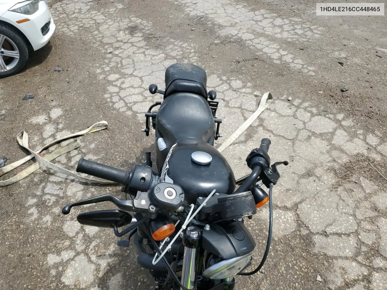 2012 Harley-Davidson Xl883 Iron 883 VIN: 1HD4LE216CC448465 Lot: 61081005