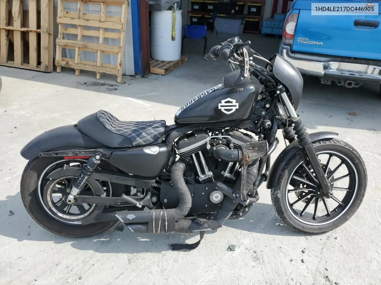 2013 Harley-Davidson Xl883 Iron 883 VIN: 1HD4LE217DC446905 Lot: 54584665