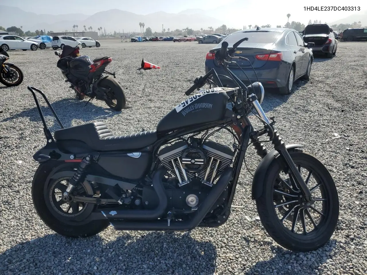 2013 Harley-Davidson Xl883 Iron 883 VIN: 1HD4LE237DC403313 Lot: 60869545