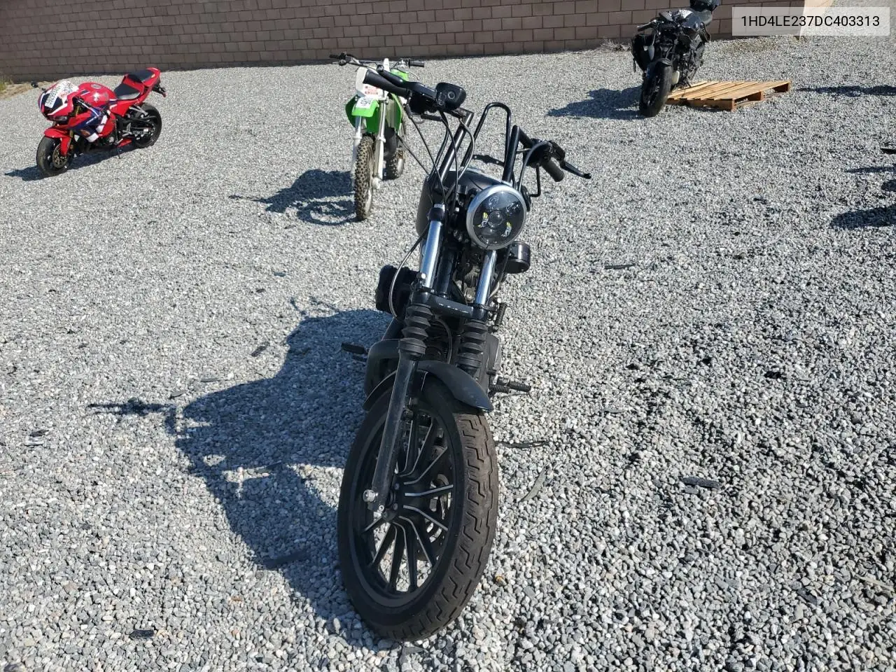2013 Harley-Davidson Xl883 Iron 883 VIN: 1HD4LE237DC403313 Lot: 60869545