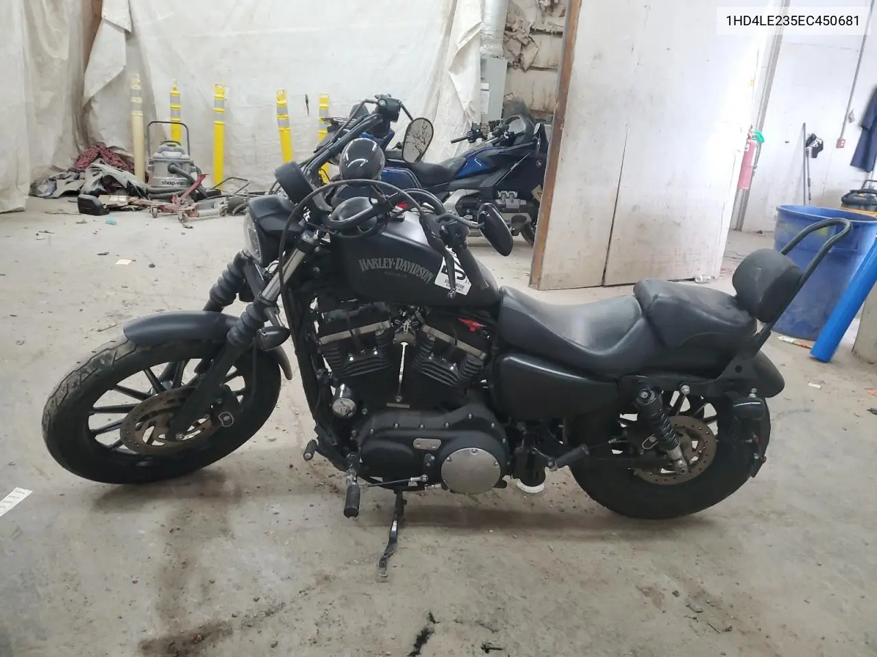 2014 Harley-Davidson Xl883 Iron 883 VIN: 1HD4LE235EC450681 Lot: 52433515