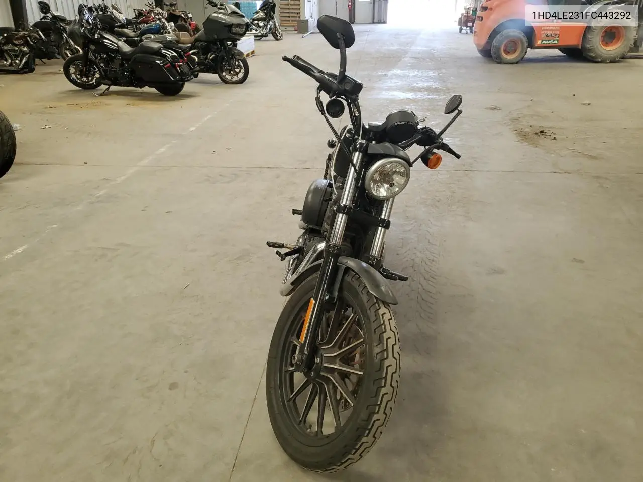 2015 Harley-Davidson Xl883 Iron 883 VIN: 1HD4LE231FC443292 Lot: 56932425