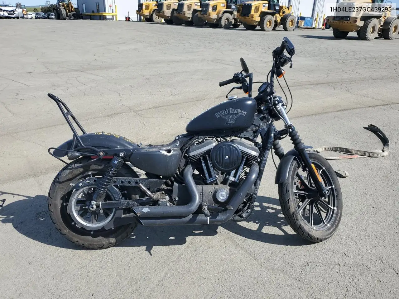2016 Harley-Davidson Xl883 Iron 883 VIN: 1HD4LE237GC439295 Lot: 50718895