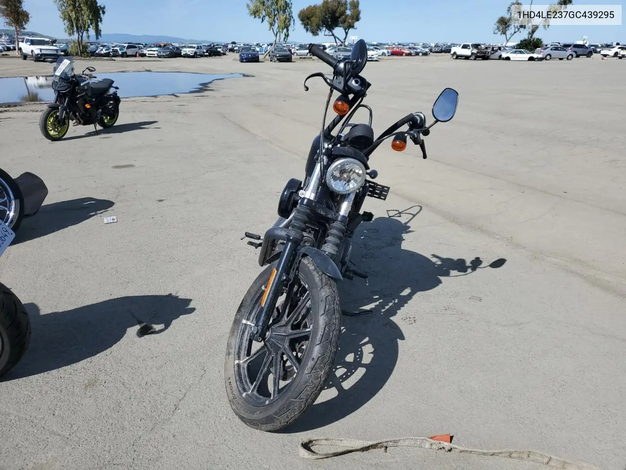 2016 Harley-Davidson Xl883 Iron 883 VIN: 1HD4LE237GC439295 Lot: 50718895