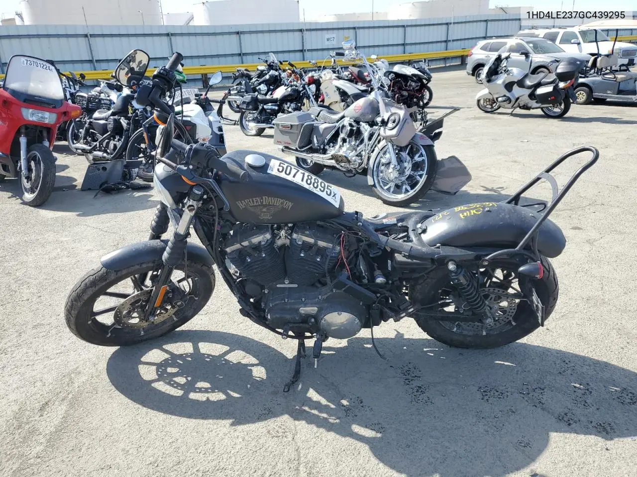 2016 Harley-Davidson Xl883 Iron 883 VIN: 1HD4LE237GC439295 Lot: 50718895
