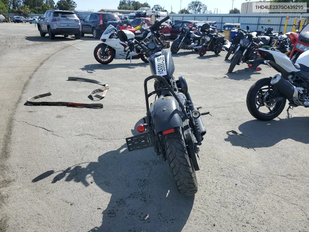 2016 Harley-Davidson Xl883 Iron 883 VIN: 1HD4LE237GC439295 Lot: 50718895