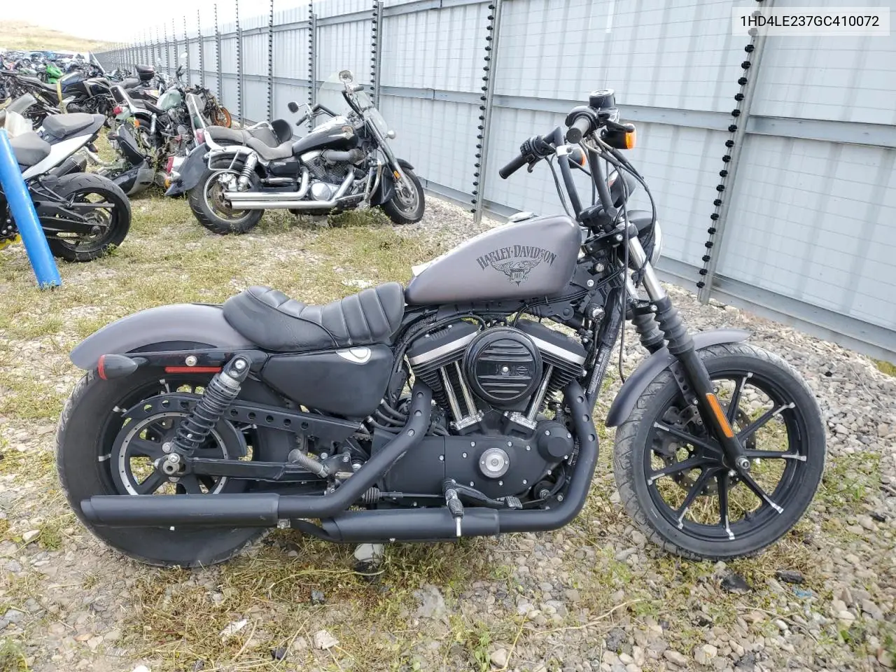 2016 Harley-Davidson Xl883 Iron 883 VIN: 1HD4LE237GC410072 Lot: 56555415