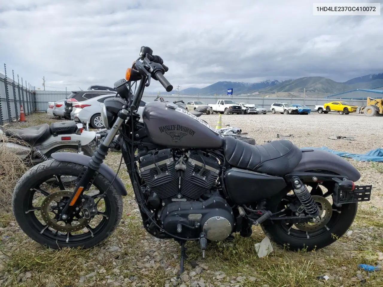 2016 Harley-Davidson Xl883 Iron 883 VIN: 1HD4LE237GC410072 Lot: 56555415