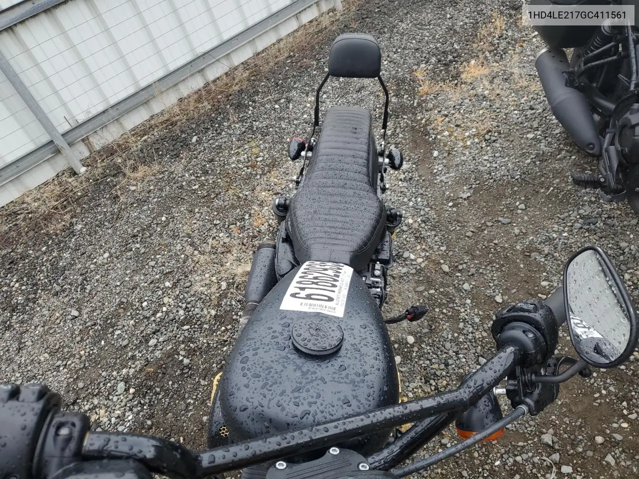 2016 Harley-Davidson Xl883 Iron 883 VIN: 1HD4LE217GC411561 Lot: 61862935