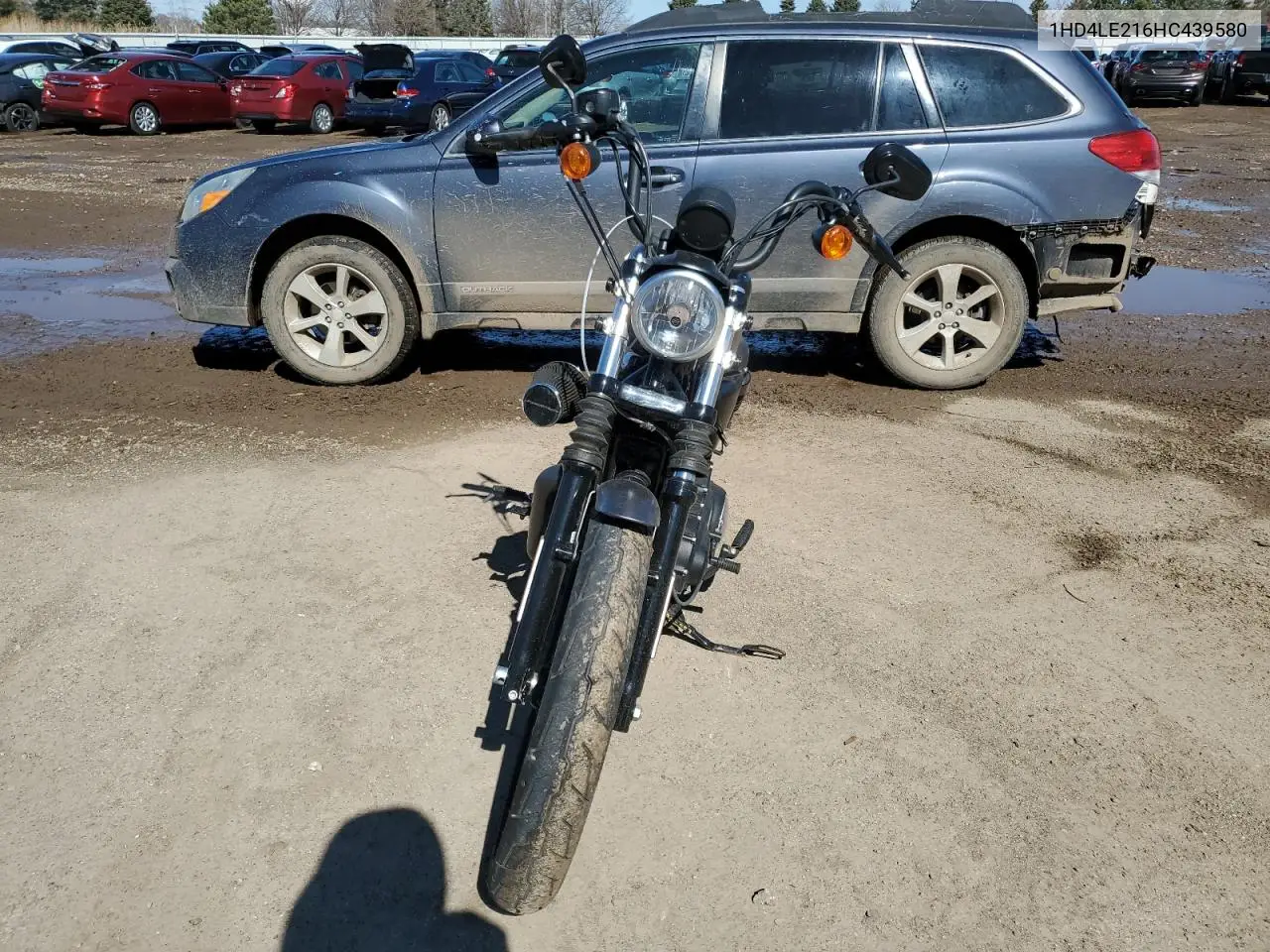 2017 Harley-Davidson Xl883 Iron 883 VIN: 1HD4LE216HC439580 Lot: 49206725