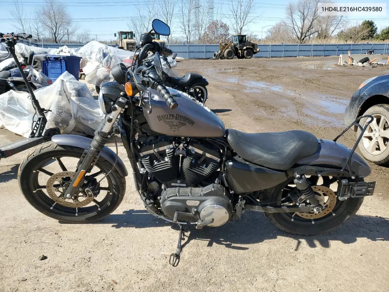 2017 Harley-Davidson Xl883 Iron 883 VIN: 1HD4LE216HC439580 Lot: 49206725