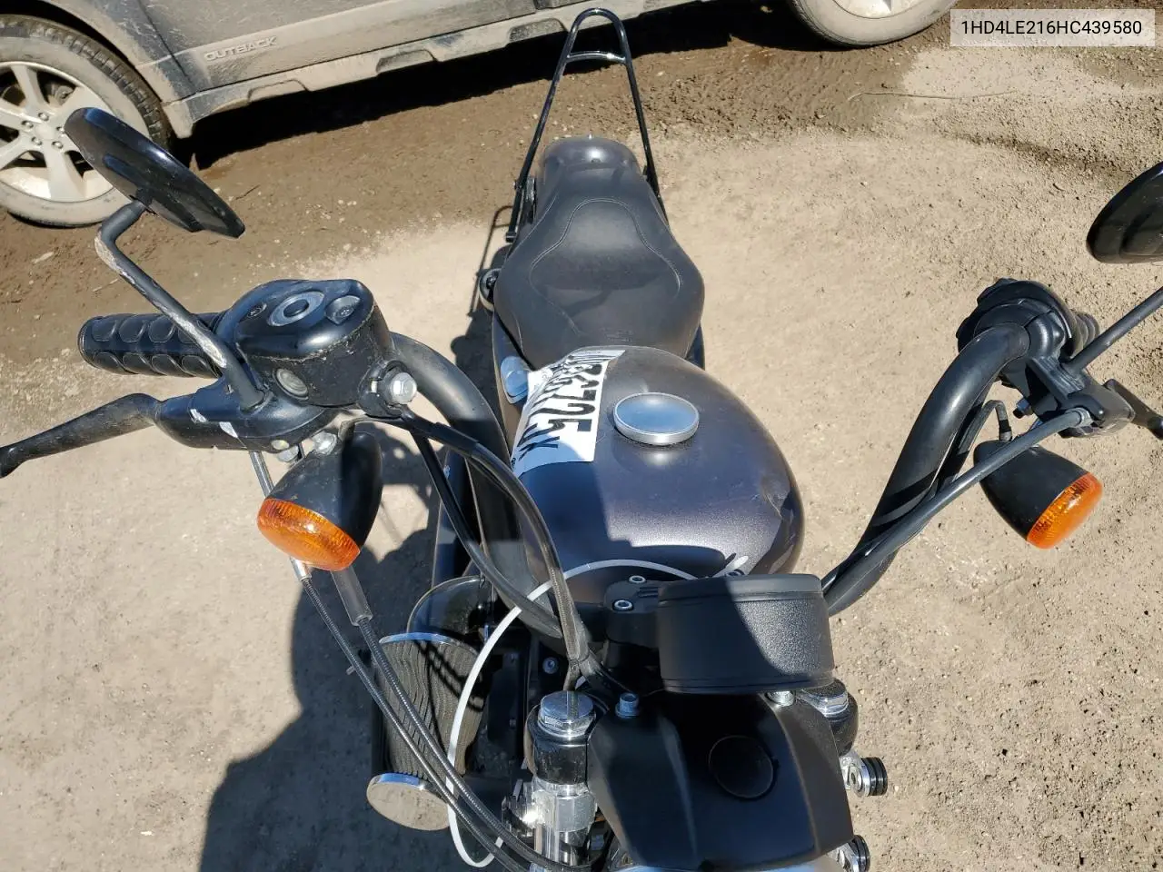 2017 Harley-Davidson Xl883 Iron 883 VIN: 1HD4LE216HC439580 Lot: 49206725