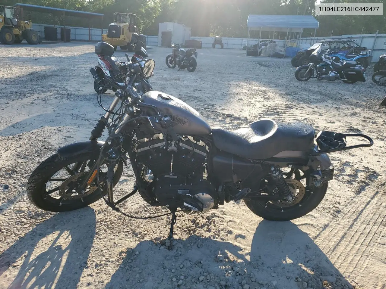2017 Harley-Davidson Xl883 Iron 883 VIN: 1HD4LE216HC442477 Lot: 53380755